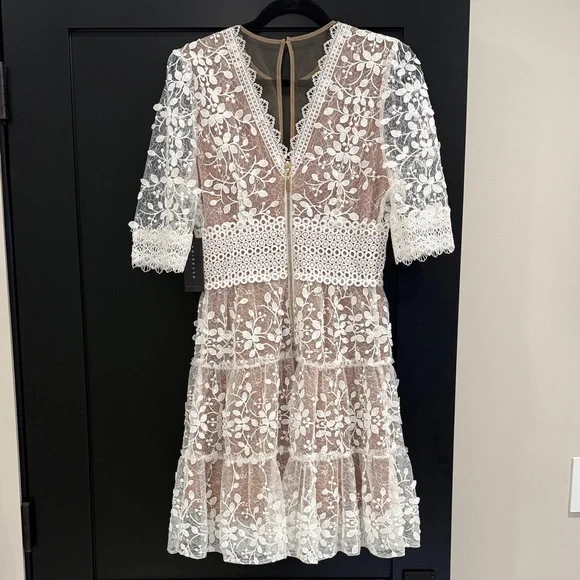 Elegant Lace Mini Dress in White and Tan - Picture 2 of 6